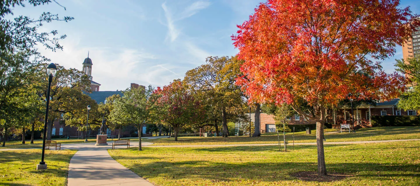 Looking across campus in the fall with leaves turning read and yellow