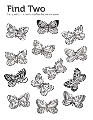 A coloring and activity sheet with butterflies on it.