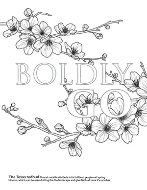Boldly Go with redbuds surrounding it coloring page.