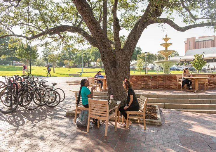 Transfer students relax at the outdoor tables around TWU