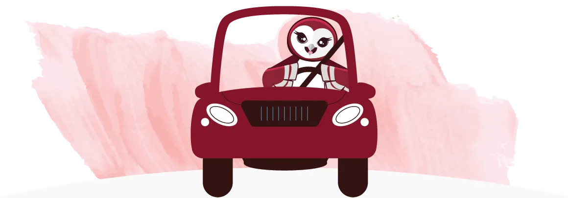 Oakley riding in a car