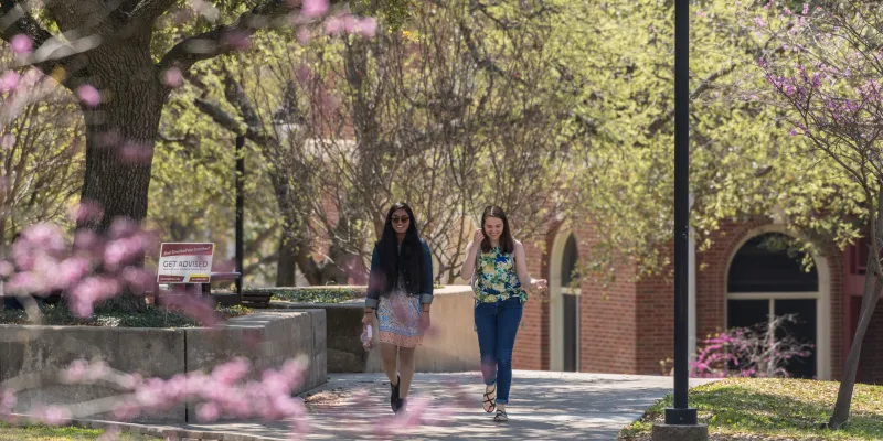 Two women walk and talk on campus on a bright spring day. Redbud blossoms frame the photo in all directions.