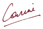 Maroon signature of Carine Feyten, PhD