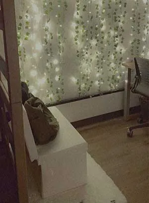 A desk area decorated with a bench and lights on vines.