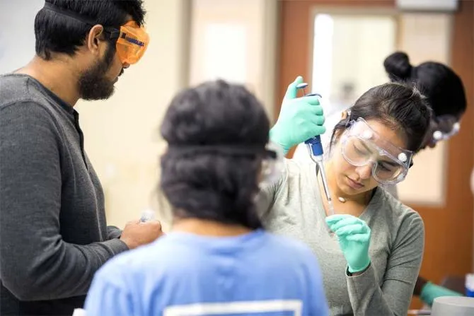 Biology students working in a lab