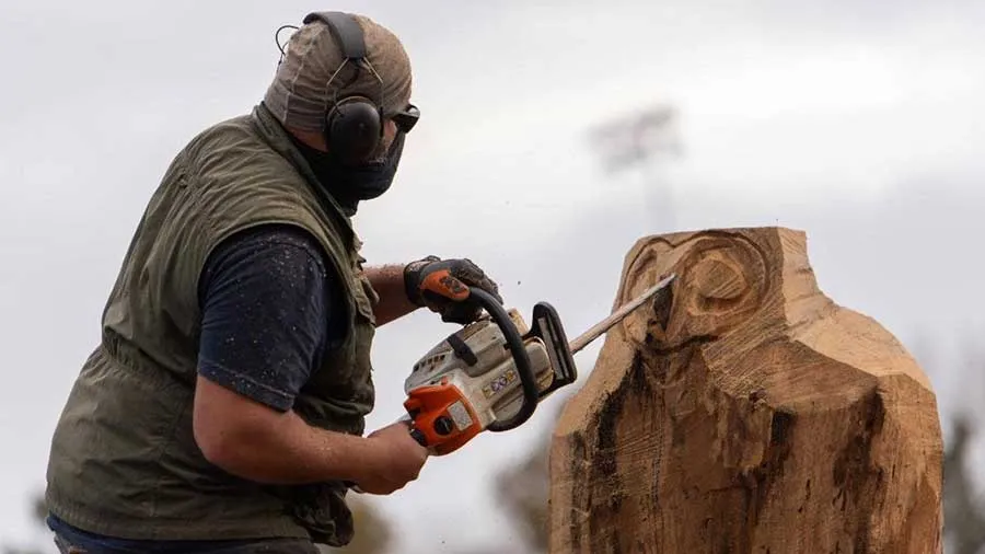 Chainsaw artist Rob Banda carves a tree trunk on the Denton campus into the shape of TWU's mascot