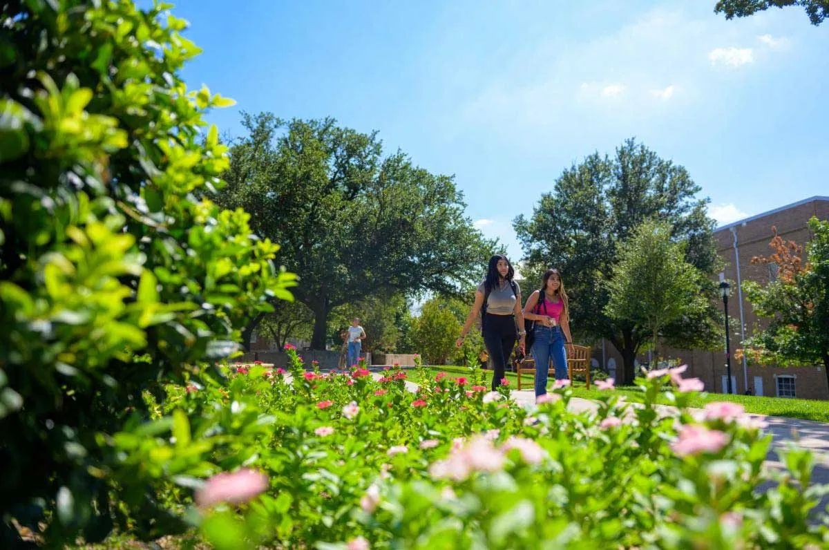 Two students walk together on the TWU Denton campus as flowers bloom