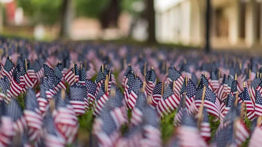 Many tiny American flags are planted closely together on the ground of the TWU Denton campus' Free Speech Area