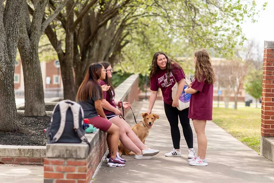 A group of TWU students relax and chat together on the Denton campus