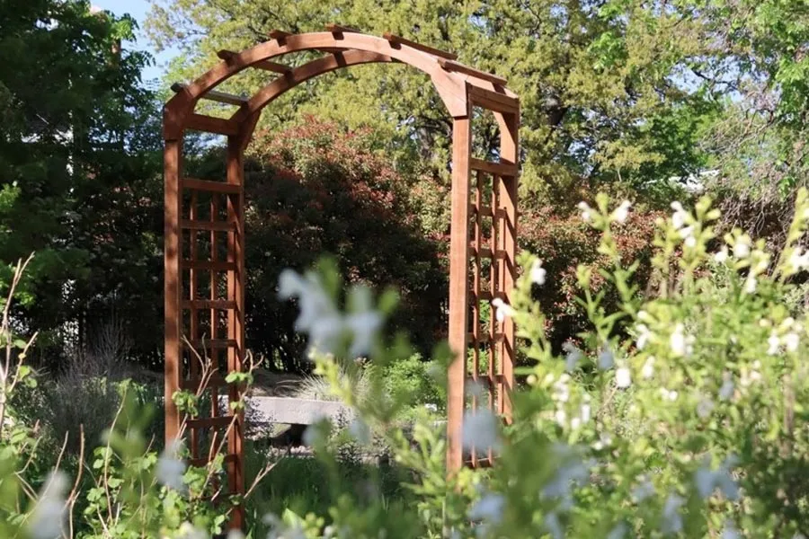 photo of an arch in the butterfly garden