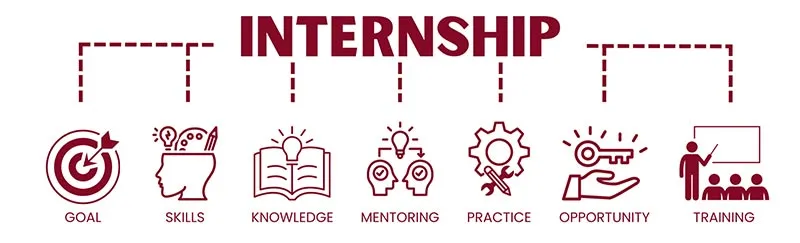 Internship graphic with icons underneath the word internship: goals, skills, knowledge, mentoring, practice, opportunity and training