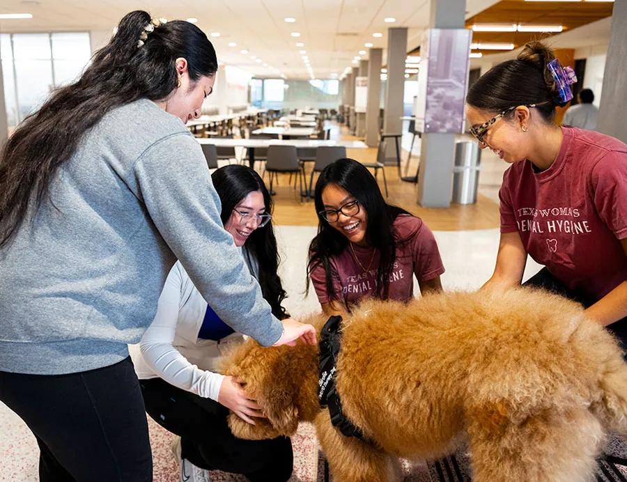 A group of TWU students pet therapy dog Birdie