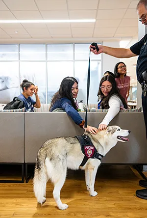 TWU students interact with therapy dog Minnie
