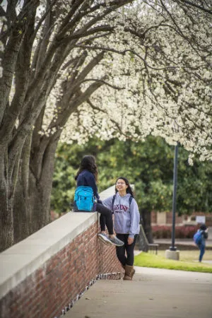 Two students talking and lounging outdoors under a blooming redbud tree on TWU's Denton campus.