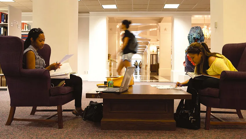 Students studying in the library. 