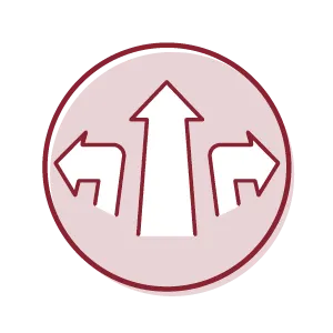 Icon with arrows in multiple directions