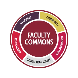 Faculty Commons Model