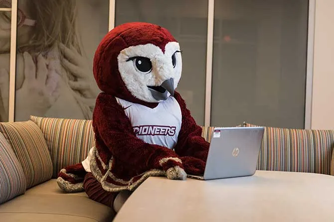 Oakley the Barn Owl sits in the Student Union on a laptop.
