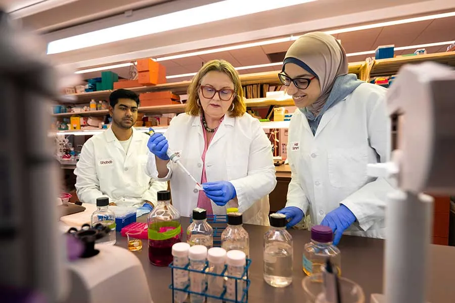 A Biology faculty member instructs two students in a science lab.