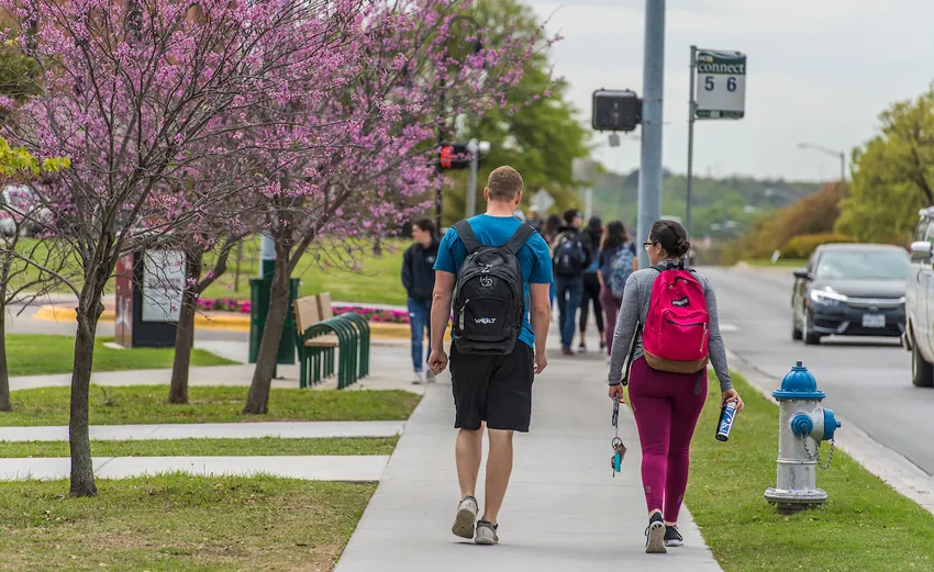 Students walking on the TWU campus near redbuds in bloom 