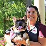 Person holding a French bulldog