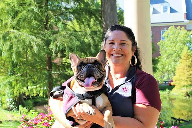Person holding a French bulldog