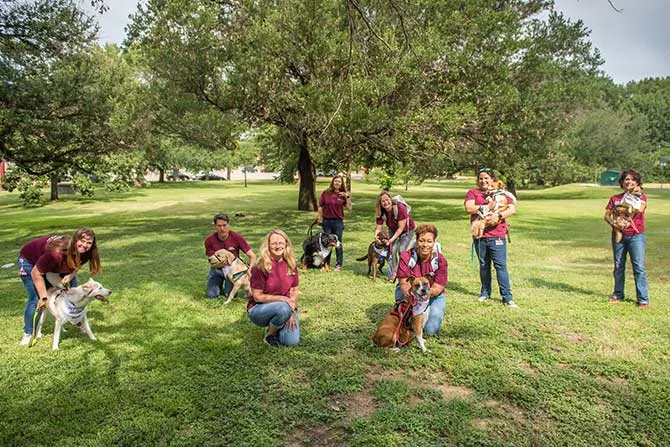 People with dogs in the grass