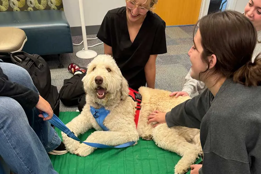 Dog getting attention from students