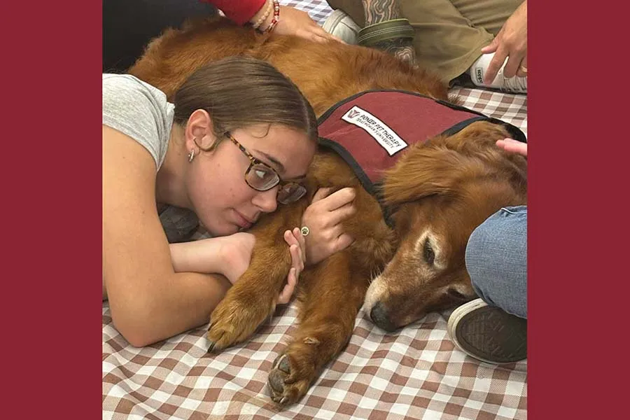 Dog getting attention from students