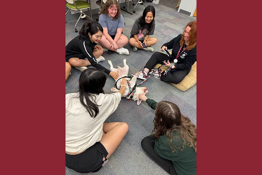 Dog getting attention from students