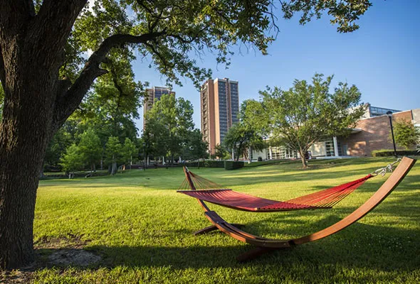 An empty hammock beneath a tree with the ϲͼ campus in the background