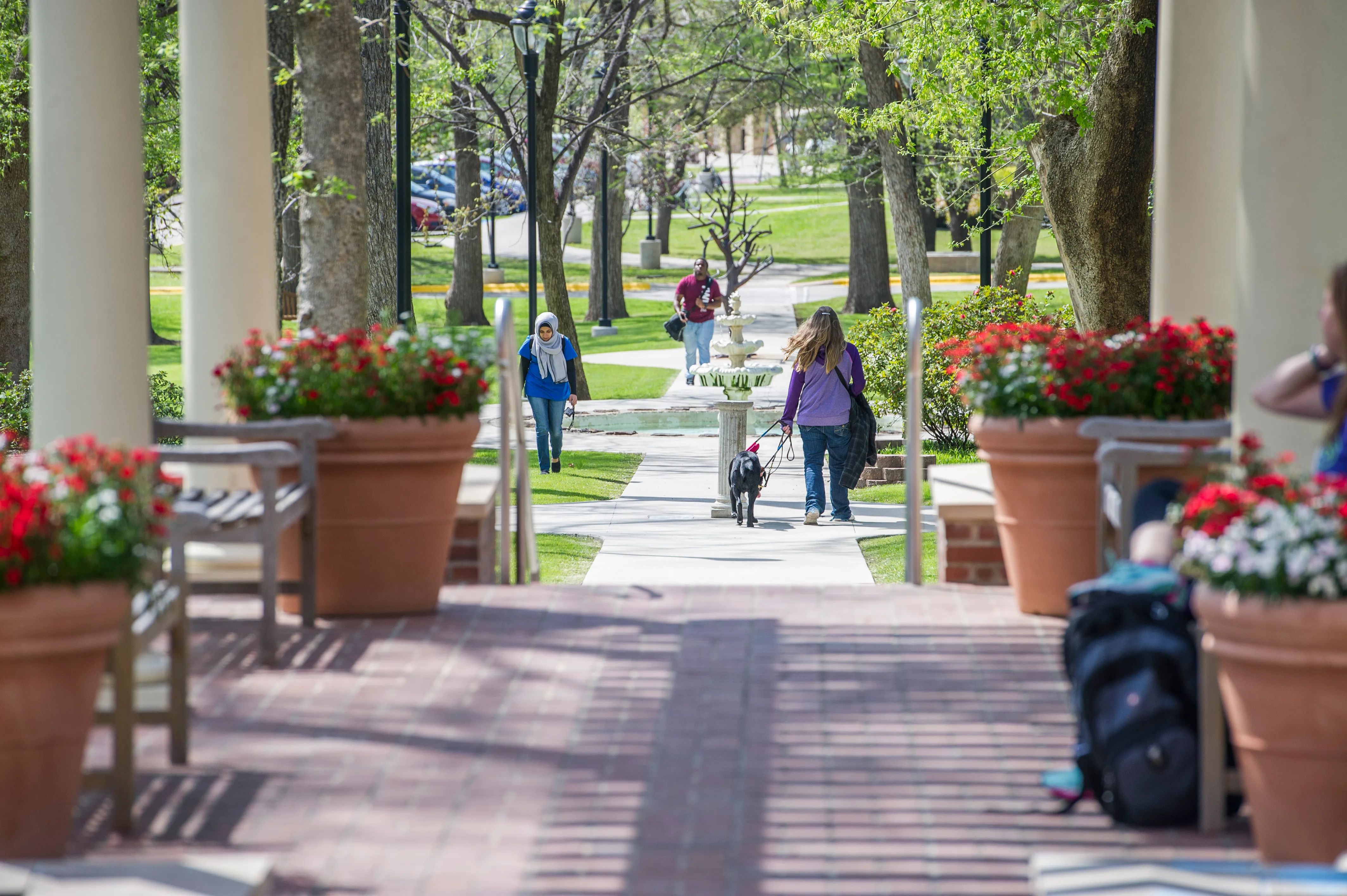 The campus on a spring day, from the outdoor patio.