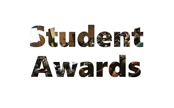 Link to student awards