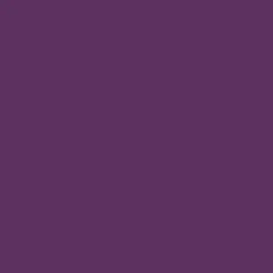 A square of TWU's approved eggplant color.