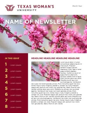 A thumbnail example of Newsletter Style B.