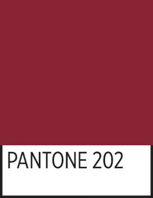 A square of TWU's official maroon in Pantone 202