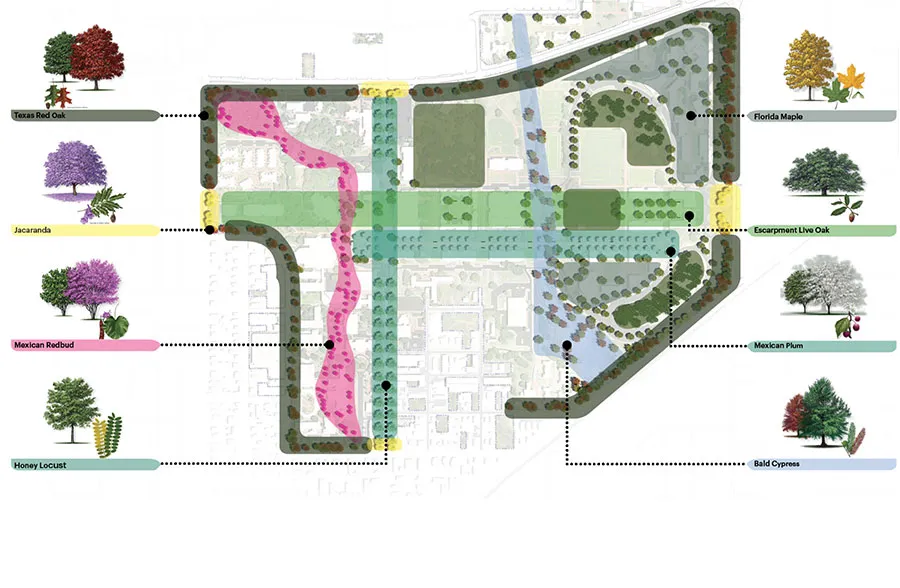 A map of TWU's Denton campus with select areas highlighted and the type of tress planned for that area.