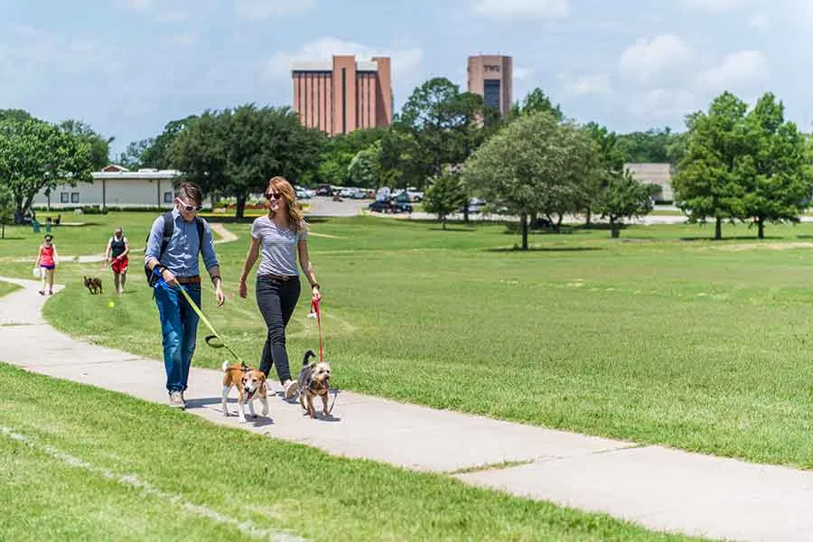 Two women walking dogs on TWU's Denton campus.