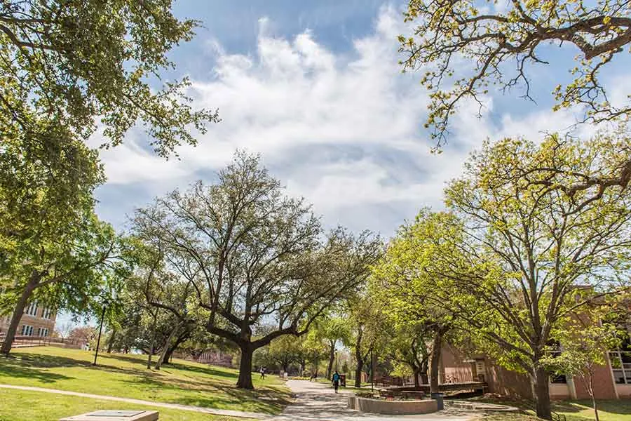 TWU's Denton campus on a sunny day. 