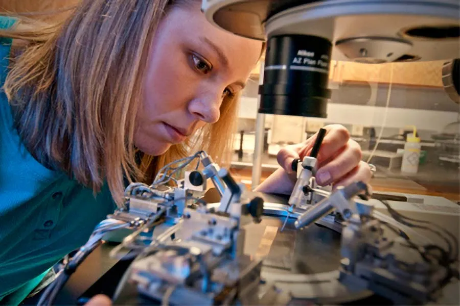Biomedical Engineering, BS (UNT)