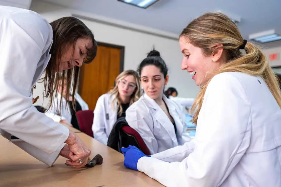 Nursing professor instruct students