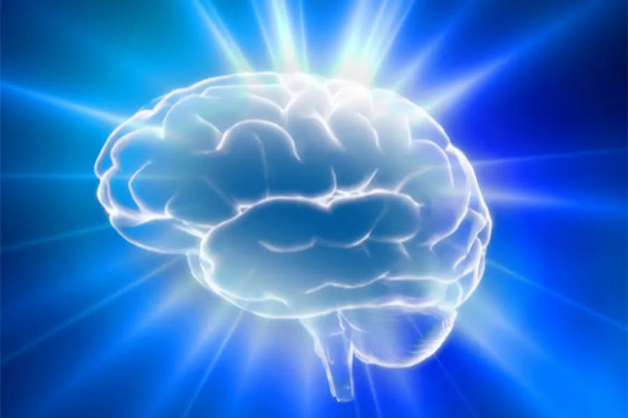 A brain in front of a bright blue background