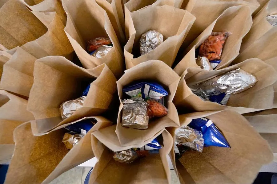 photo of bags of groceries