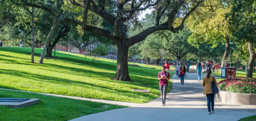 Students walking across campus on a shaded trail. 