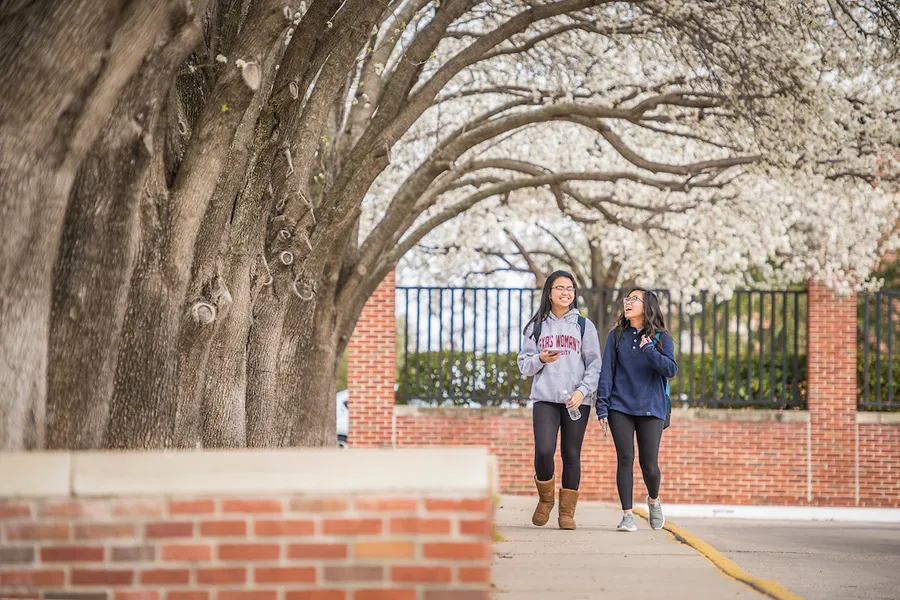 Two students walk to class, surrounded by white trees in full bloom.