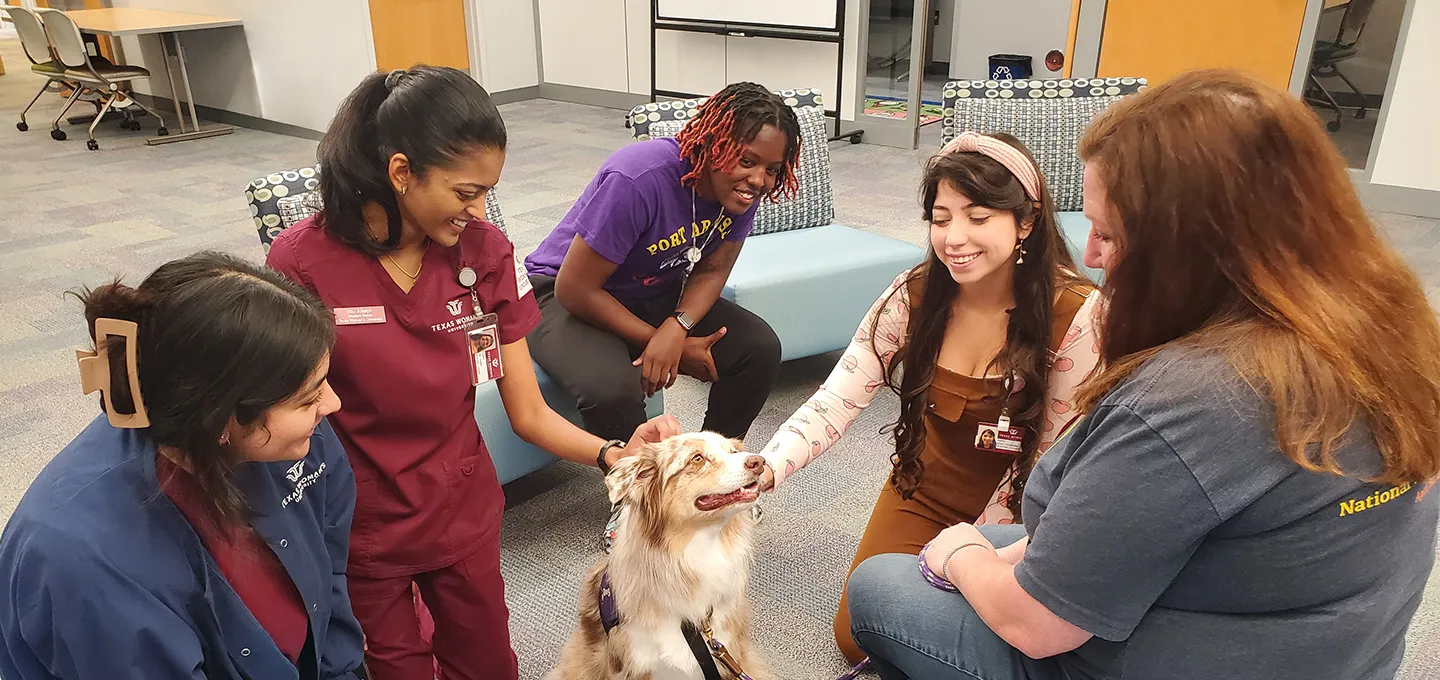 TWU students with a pet therapy dog