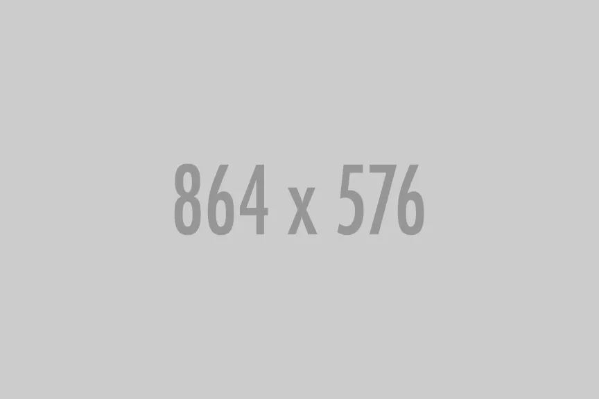 A gray 864 by 576 placeholder image	