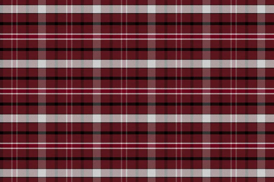 A swatch of plaid print with maroon, white and black stripes. 