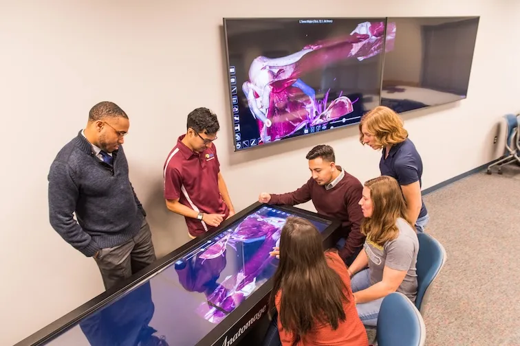 Students and a professor at a digital anatomy table.