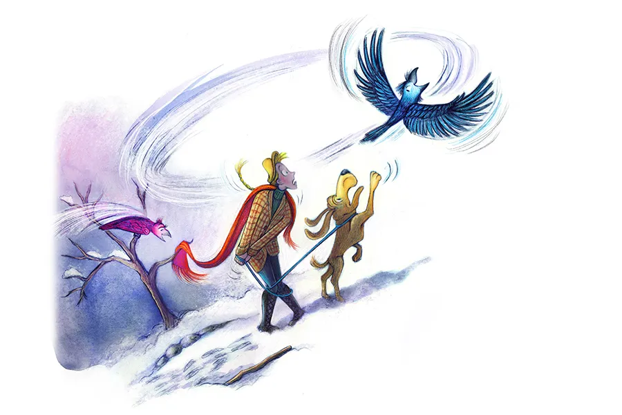 A raven distracts dog, while other raven attempts to steal the man's red scarf